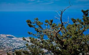 Замок Буффавенто