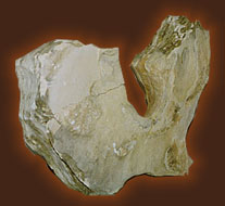 limestone interrupted by basaltic layers
