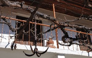 Якорь, висящий в саду