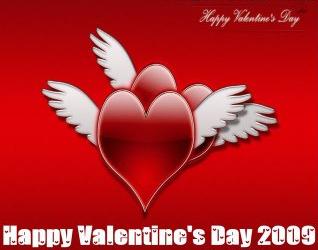 Valentine's Day  2009  