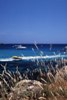 Agia Napa Beaches