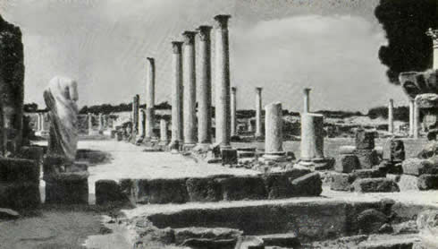 Колонны восточного портика палестры гимнасия в Саламине. IV в. н.э.