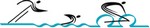 Кипрская федерация триатлона / Cyprus triathlon federation